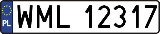 WML12317