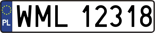 WML12318
