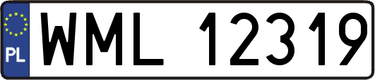 WML12319