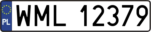 WML12379