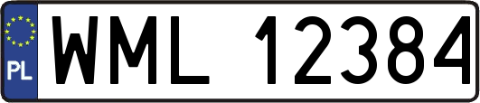 WML12384