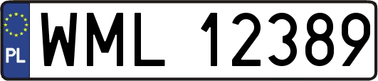 WML12389