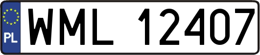 WML12407