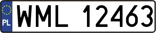 WML12463