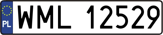 WML12529