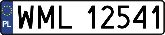 WML12541