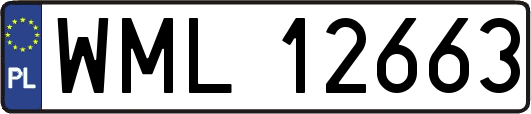 WML12663