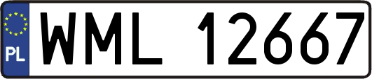 WML12667