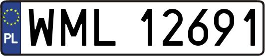 WML12691