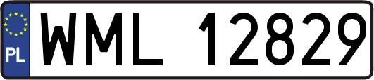 WML12829