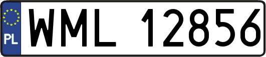 WML12856