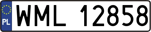WML12858