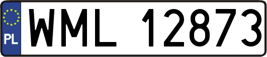 WML12873