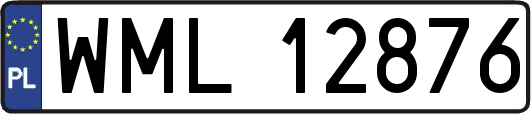WML12876