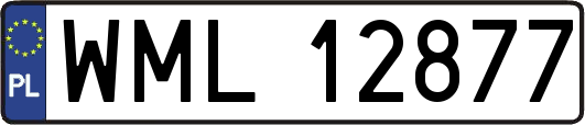 WML12877
