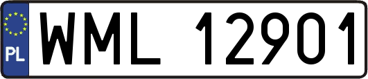 WML12901