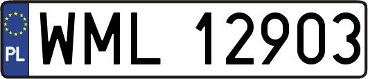 WML12903