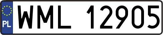 WML12905