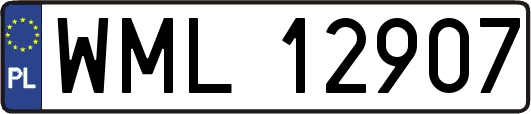 WML12907