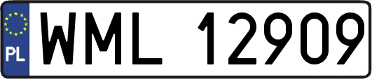 WML12909