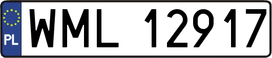 WML12917