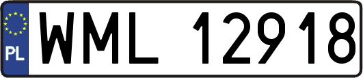 WML12918
