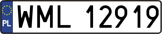 WML12919