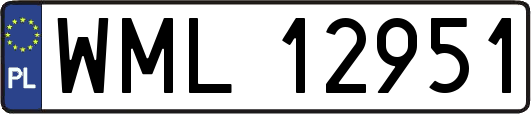 WML12951