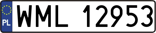 WML12953