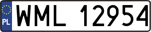 WML12954