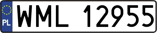 WML12955