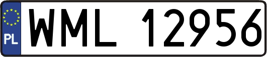 WML12956