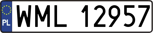 WML12957