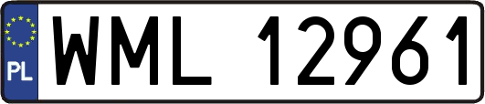 WML12961