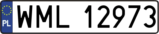 WML12973