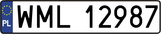 WML12987