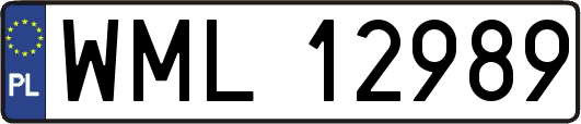 WML12989