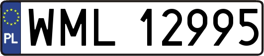 WML12995