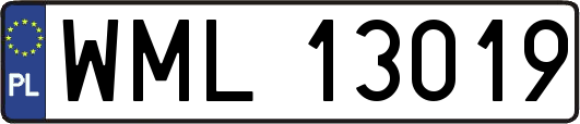 WML13019