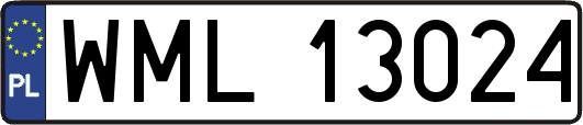 WML13024