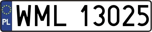 WML13025