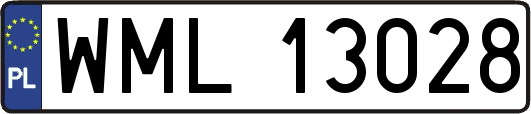 WML13028