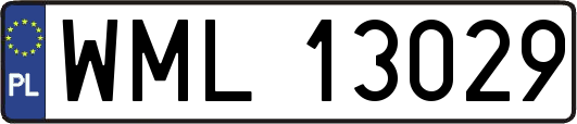 WML13029