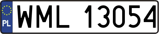 WML13054
