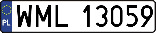 WML13059