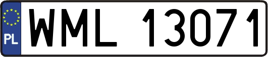 WML13071