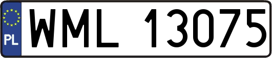 WML13075
