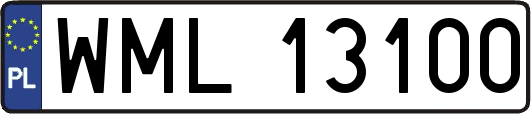 WML13100