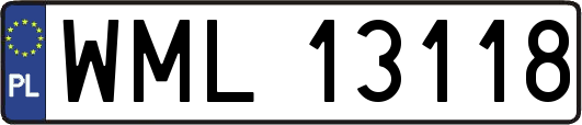 WML13118
