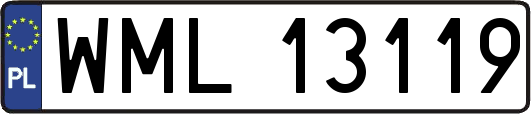 WML13119